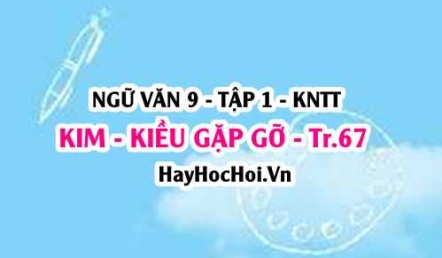 Soạn bài Kim Kiều gặp gỡ trang 67 lớp 9 tập 1 Kết nối tri thức